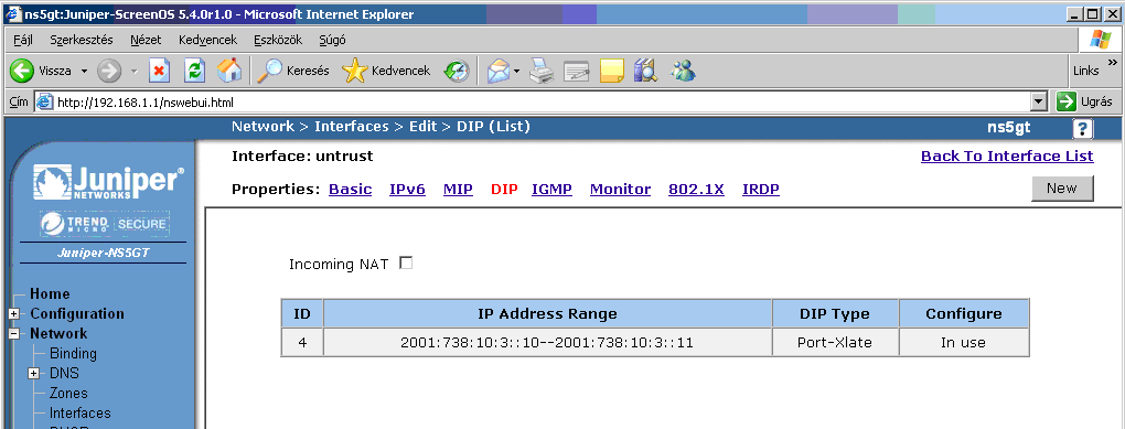 ipv4_ipv6_dip.png